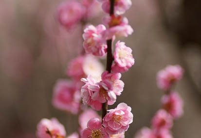 201103101134-DSC04601.jpg