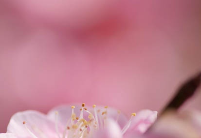 201103101137-DSC04609.jpg