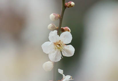 201103101237-DSC04696.jpg