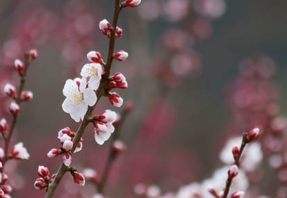 201103101241-DSC04699.jpg