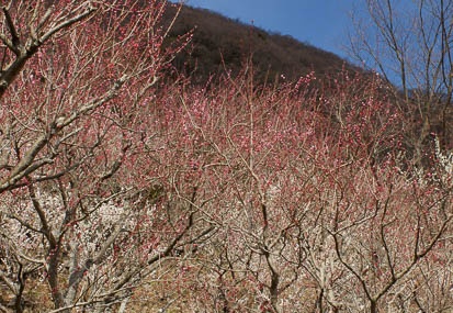 201103101305-DSC04760.jpg