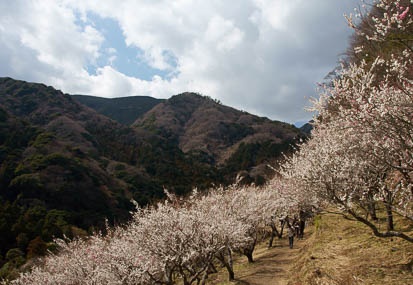 201103101314-DSC04778.jpg