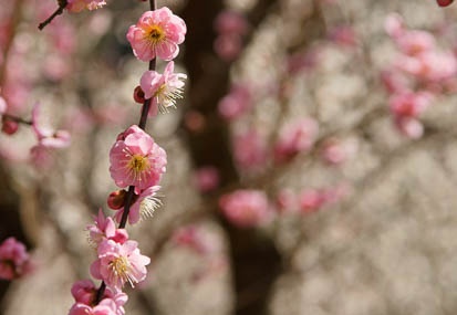 201103101320-DSC04789.jpg