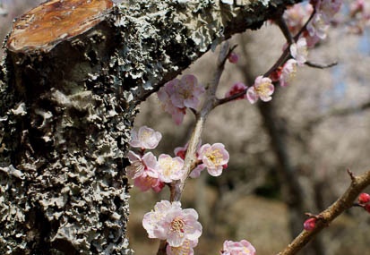 201103101325-DSC04797.jpg