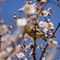 201103101337-DSC04833.jpg