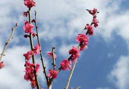 201103101342-DSC04840.jpg