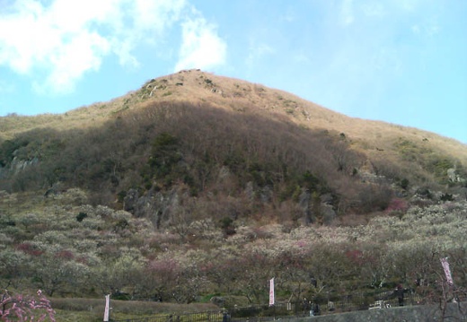 20110310141738-SO902i.jpg