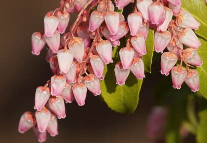 201103111341-DSC04914.jpg