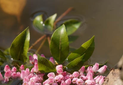 201103111343-DSC04919.jpg