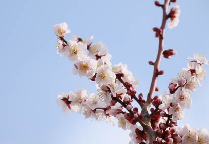 201103111402-DSC04959.jpg