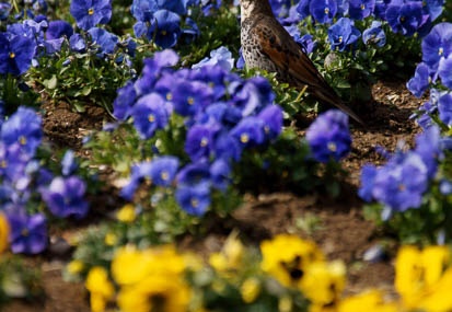201103111406-DSC04968.jpg