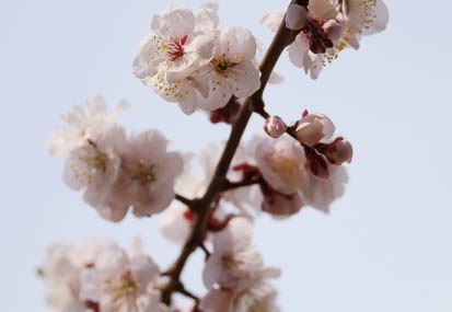 201103111415-DSC04988.jpg