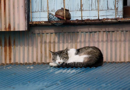 201103111428-DSC05005.jpg