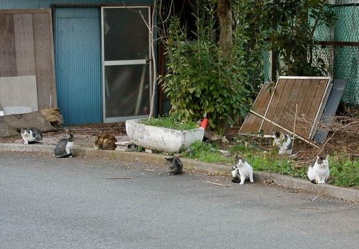 201103111548-DSC05098.jpg