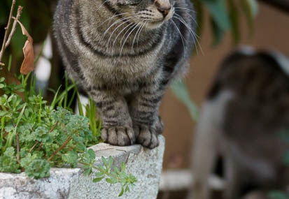 201103111551-DSC05130.jpg