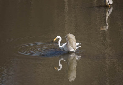 201103130942-DSC05292.jpg