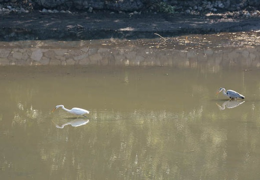 201103130948-DSC05341.jpg