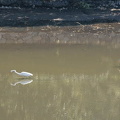 201103130948-DSC05341.jpg