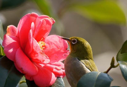 201103131132-DSC05555.jpg