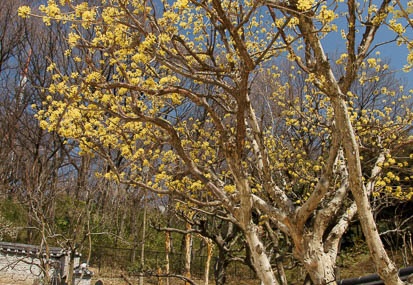 201103131222-DSC05687.jpg