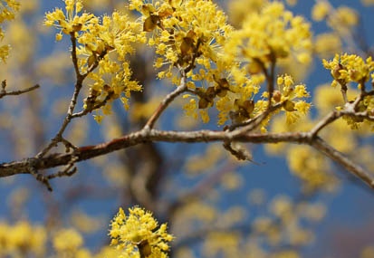 201103131225-DSC05701.jpg