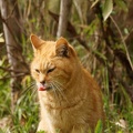 201103141409-DSC05927.jpg