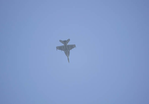 201103161130-DSC06312.jpg