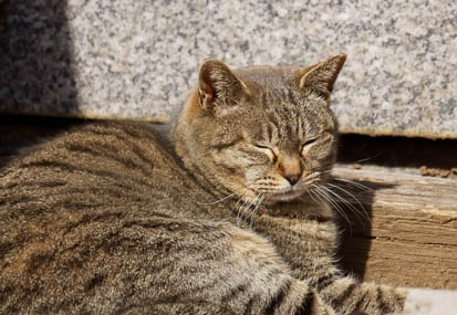 201103161344-DSC06445.jpg