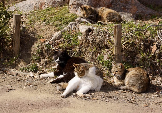 201103161346-DSC06448.jpg