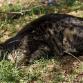 201103161402-DSC06456.jpg