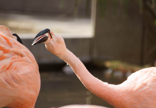 201103161420-DSC06498.jpg