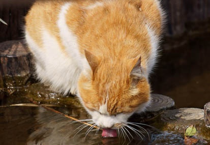 201103171307-DSC06766.jpg