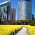 20110318125408-SO-01B.jpg