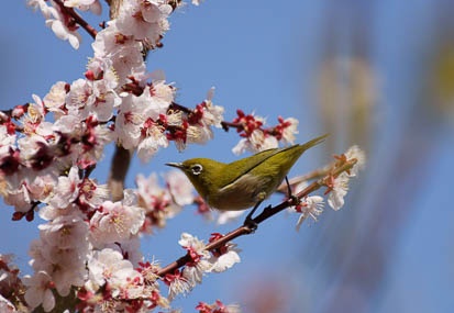 201103191136-DSC07536.jpg