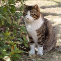 201103191322-DSC07676.jpg