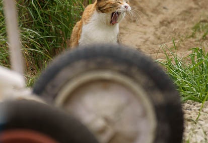 201103201234-DSC08181.jpg