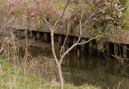 201103201333-DSC08397.jpg