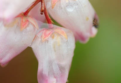 201103211234-DSC00026.jpg