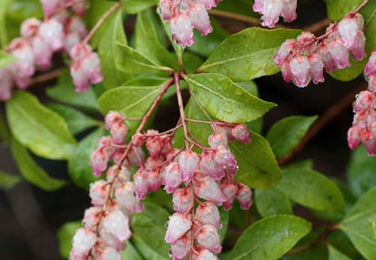 201103211236-DSC00033.jpg