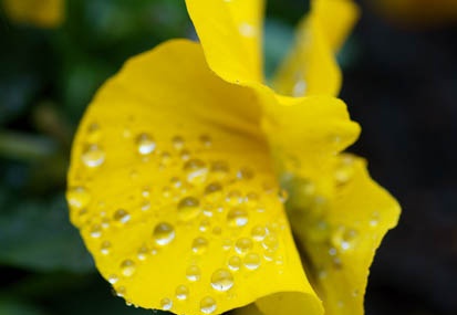 201103211257-DSC00093.jpg