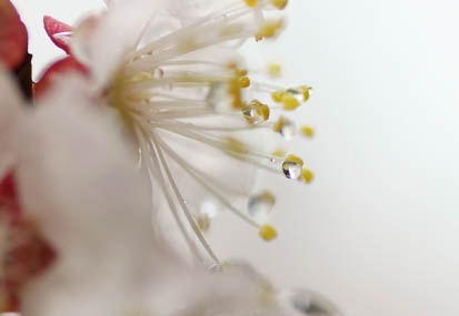 201103211332-DSC00294.jpg