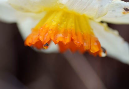 201103211406-DSC00393.jpg