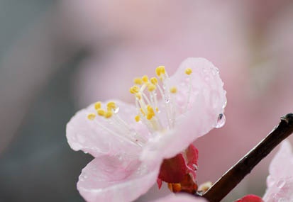 201103211409-DSC00402.jpg