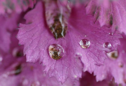201103211422-DSC00457.jpg