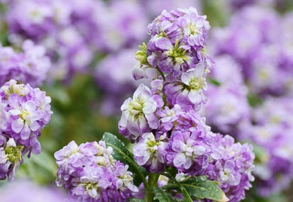 201103211429-DSC00469.jpg