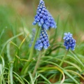 201103211453-DSC00521.jpg