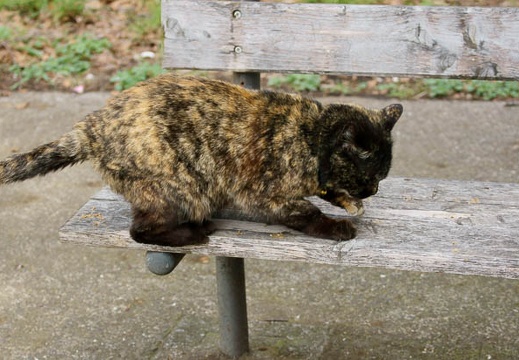 201103231214-DSC00655.jpg