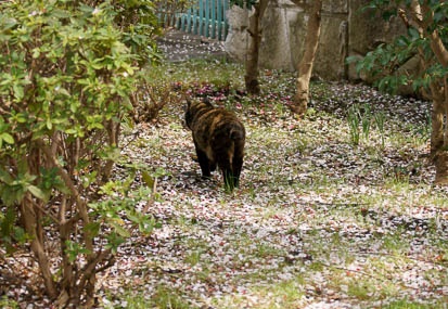 201103231220-DSC00665.jpg