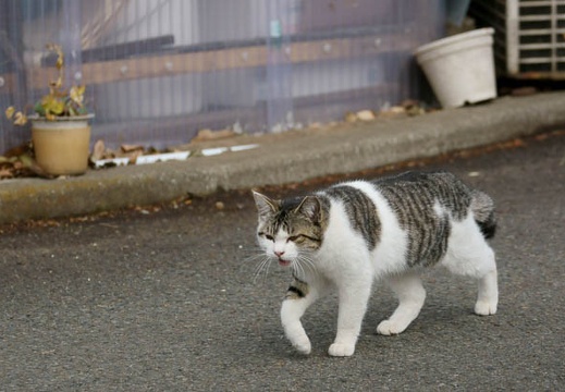 201103231247-DSC00753.jpg