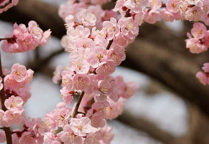 201103231302-DSC00800.jpg